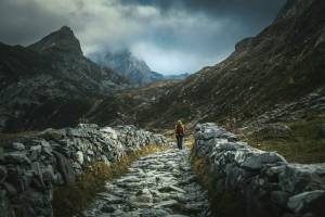 Alain DOUCE - ALAIN DOUCE