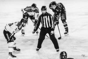QUETEL FLORIANE - EFEL PHOTOGRAPHIE